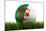 Algerian Soccerball Lying in Grass-zentilia-Mounted Art Print