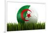 Algerian Soccerball Lying in Grass-zentilia-Framed Art Print