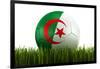 Algerian Soccerball Lying in Grass-zentilia-Framed Art Print