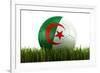 Algerian Soccerball Lying in Grass-zentilia-Framed Art Print