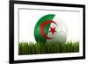 Algerian Soccerball Lying in Grass-zentilia-Framed Art Print