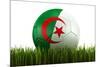 Algerian Soccerball Lying in Grass-zentilia-Mounted Art Print