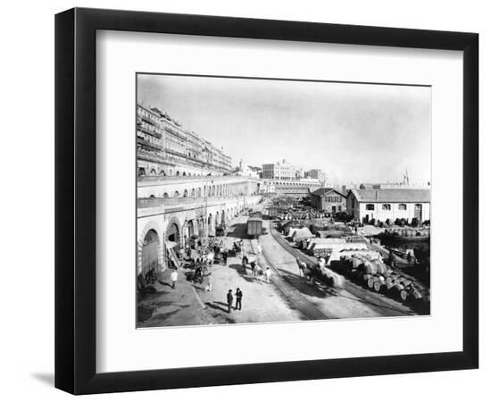 Premium Photographic Print, , large