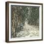 Algiers (Algeria), Bamboo Alley at the Jardin D'Essai-Leon, Levy et Fils-Framed Photographic Print