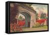 Alhambra Entrance, Coral Gables, Florida-null-Framed Stretched Canvas