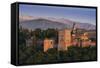 Alhambra, Granada, Province of Granada, Andalucia, Spain-Michael Snell-Framed Stretched Canvas