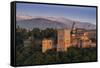 Alhambra, Granada, Province of Granada, Andalucia, Spain-Michael Snell-Framed Stretched Canvas