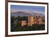 Alhambra, Granada, Province of Granada, Andalucia, Spain-Michael Snell-Framed Photographic Print