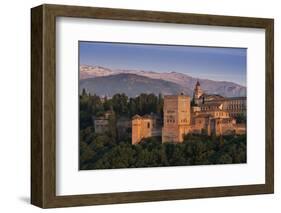 Alhambra, Granada, Province of Granada, Andalucia, Spain-Michael Snell-Framed Photographic Print