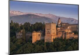 Alhambra, Granada, Province of Granada, Andalucia, Spain-Michael Snell-Mounted Photographic Print
