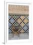 Alhambra, Granada, Province of Granada, Andalusia, Spain-Michael Snell-Framed Photographic Print