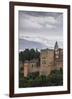 Alhambra, Granada, Province of Granada, Andalusia, Spain-Michael Snell-Framed Photographic Print