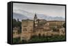 Alhambra, Granada, Province of Granada, Andalusia, Spain-Michael Snell-Framed Stretched Canvas