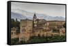 Alhambra, Granada, Province of Granada, Andalusia, Spain-Michael Snell-Framed Stretched Canvas