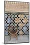 Alhambra, Granada, Province of Granada, Andalusia, Spain-Michael Snell-Mounted Photographic Print