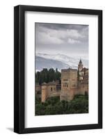 Alhambra, Granada, Province of Granada, Andalusia, Spain-Michael Snell-Framed Photographic Print