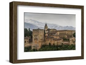 Alhambra, Granada, Province of Granada, Andalusia, Spain-Michael Snell-Framed Photographic Print