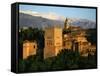 Alhambra Palace, Granada, Andalucia, Spain-null-Framed Stretched Canvas