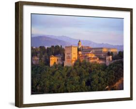 Alhambra Palace, Granada, Granada Province, Andalucia, Spain-Alan Copson-Framed Photographic Print