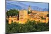 Alhambra Palace Granada Spain-null-Mounted Art Print