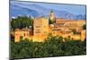 Alhambra Palace Granada Spain-null-Mounted Art Print