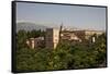 Alhambra Palace in Andaluisa, Spain-Julianne Eggers-Framed Stretched Canvas