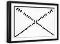 Black Frame