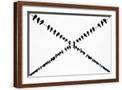 Brown Frame