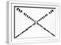 White Frame