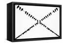 Canvas Black