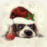 Christmas Puppy-Ali Chris-Stretched Canvas