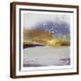 Brown Frame