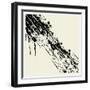 Black Frame
