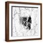 Brown Frame
