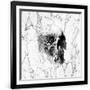 Gramercy Black