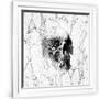 Gramercy White