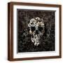 Brown Frame