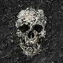 Laminate