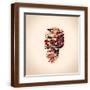 Brown Frame