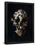 Essential Black