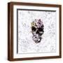 Brown Frame