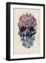 Black Frame