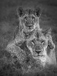 Playtime With Mama!-Ali Khataw-Photographic Print