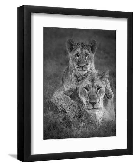 Photographic Print, , large