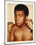 Ali, Muhammad, 1977-Andy Warhol-Mounted Art Print