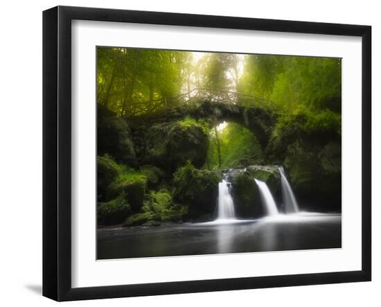 Premium Photographic Print, , large