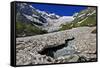 Alibek Glacier in Alibek Valley Near Dombay, Teberdinsky Biosphere Reserve, Caucasus, Russia-Schandy-Framed Stretched Canvas