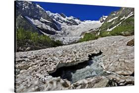 Alibek Glacier in Alibek Valley Near Dombay, Teberdinsky Biosphere Reserve, Caucasus, Russia-Schandy-Stretched Canvas