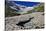 Alibek Glacier in Alibek Valley Near Dombay, Teberdinsky Biosphere Reserve, Caucasus, Russia-Schandy-Stretched Canvas