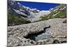 Alibek Glacier in Alibek Valley Near Dombay, Teberdinsky Biosphere Reserve, Caucasus, Russia-Schandy-Mounted Photographic Print